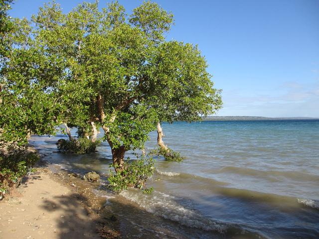 Quirimbas National Park